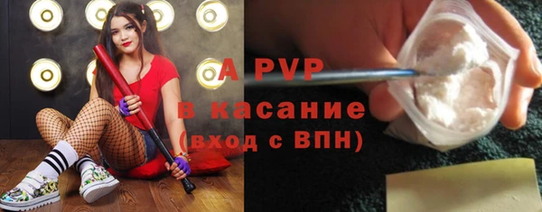 амф Аркадак